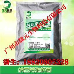 納豆芽孢桿菌在微生物飼料與肥料添加劑中的研發與應用